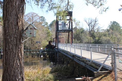 bayou lacombe.